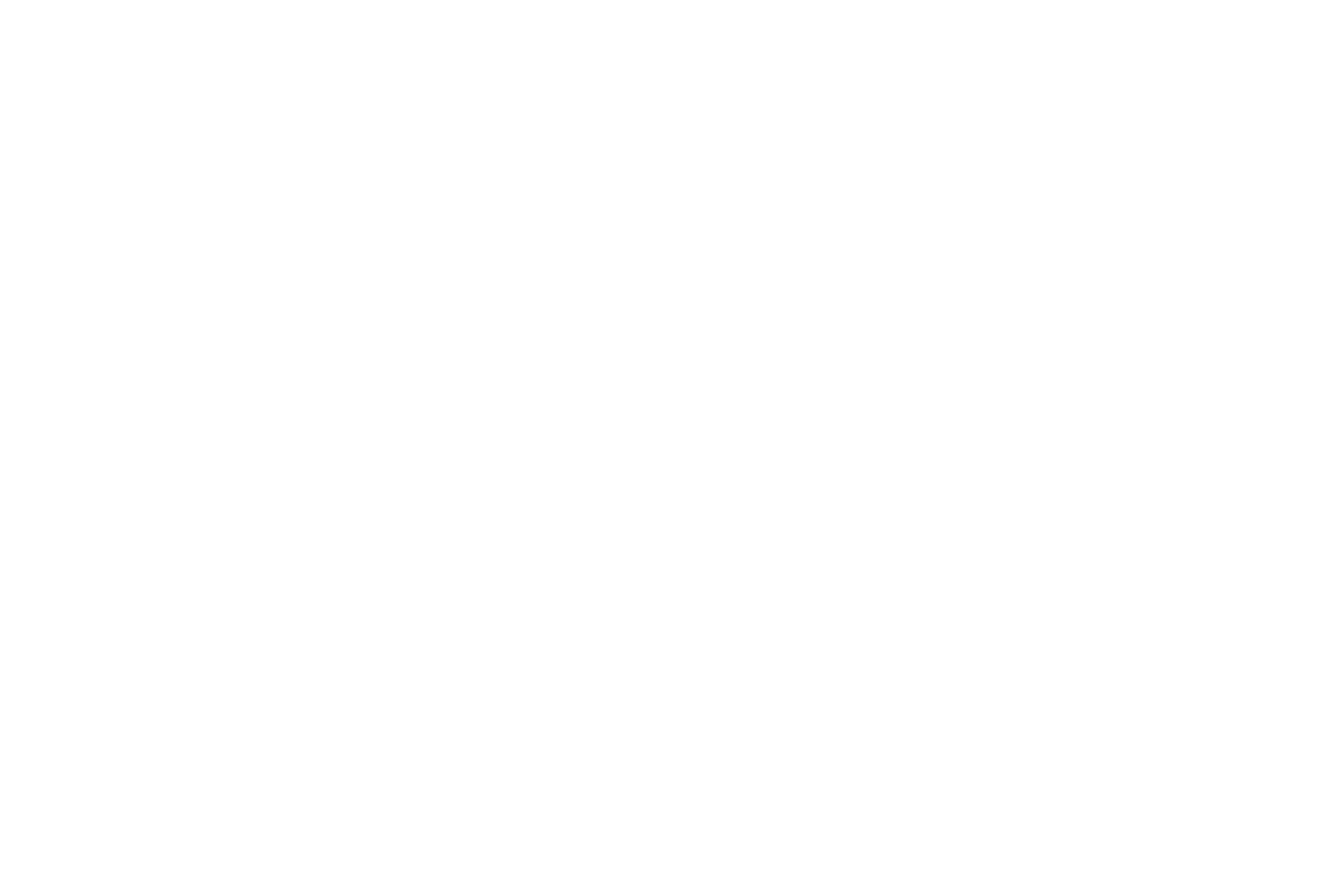 OpenDispatch LLC
